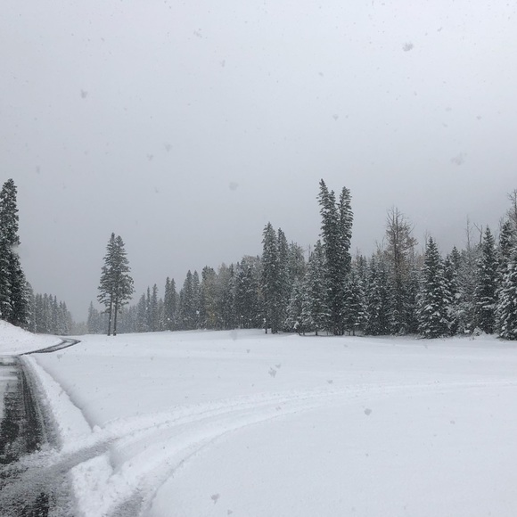 Meet your Posher, Connor - Picture 1 of 1